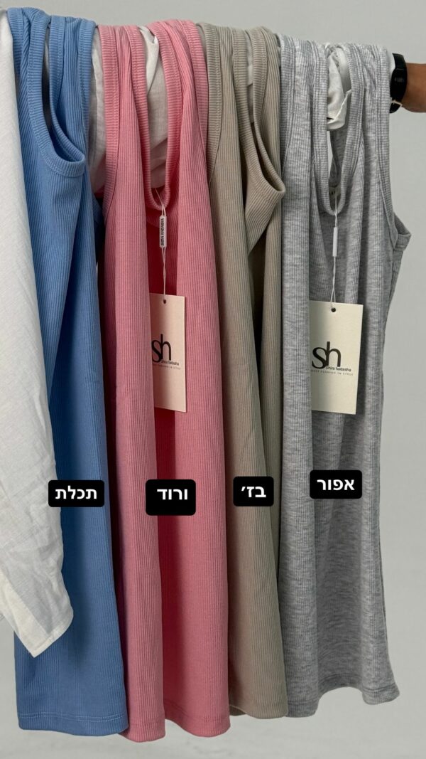 ⁦בסיס גופיה⁩ – תמונה ⁦3⁩